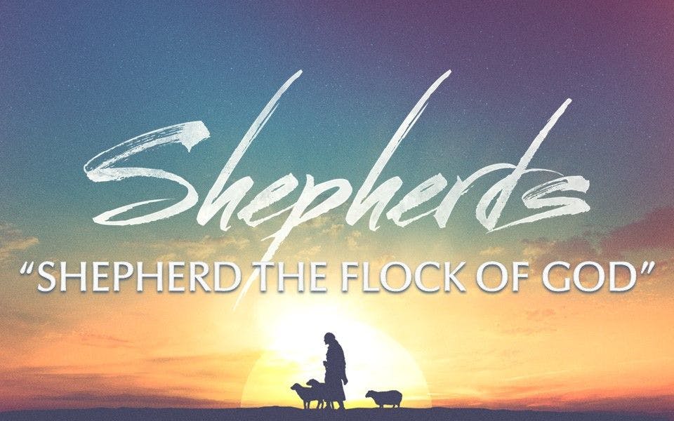 Kingdom Leaders: Shepherd the Flock of God