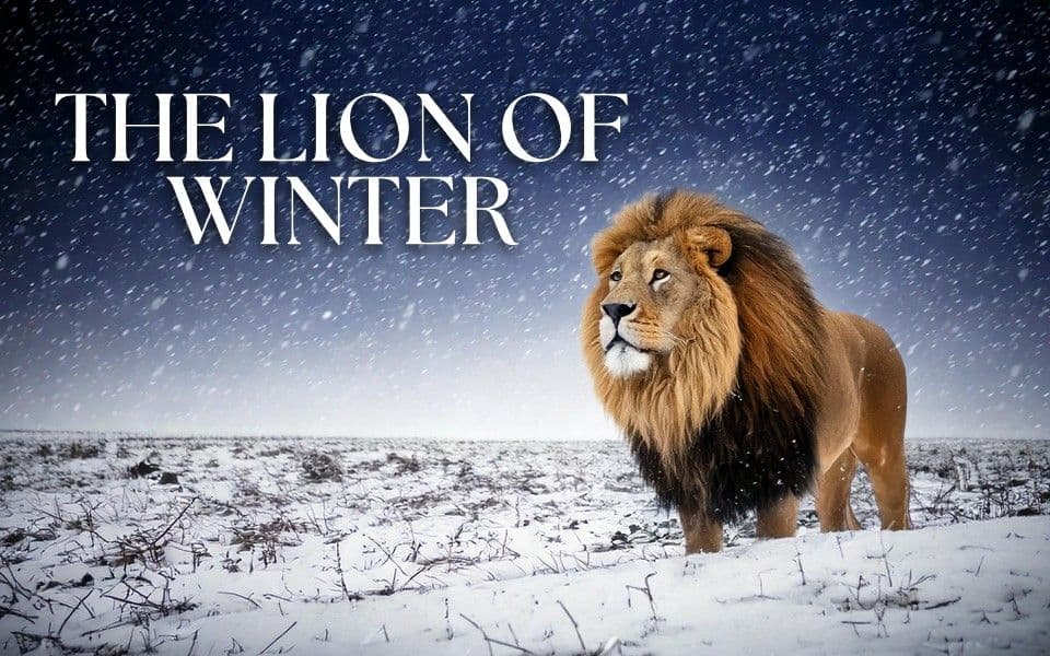 The Lion Of Winter