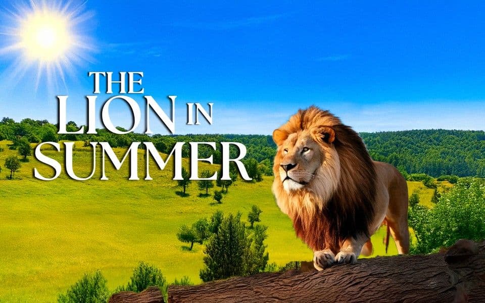 Celebrating The Seasons Of Life - The Lion In Summer