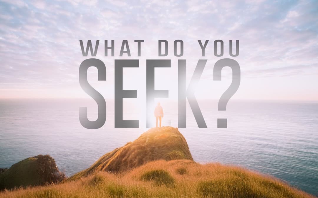What Do You Seek?