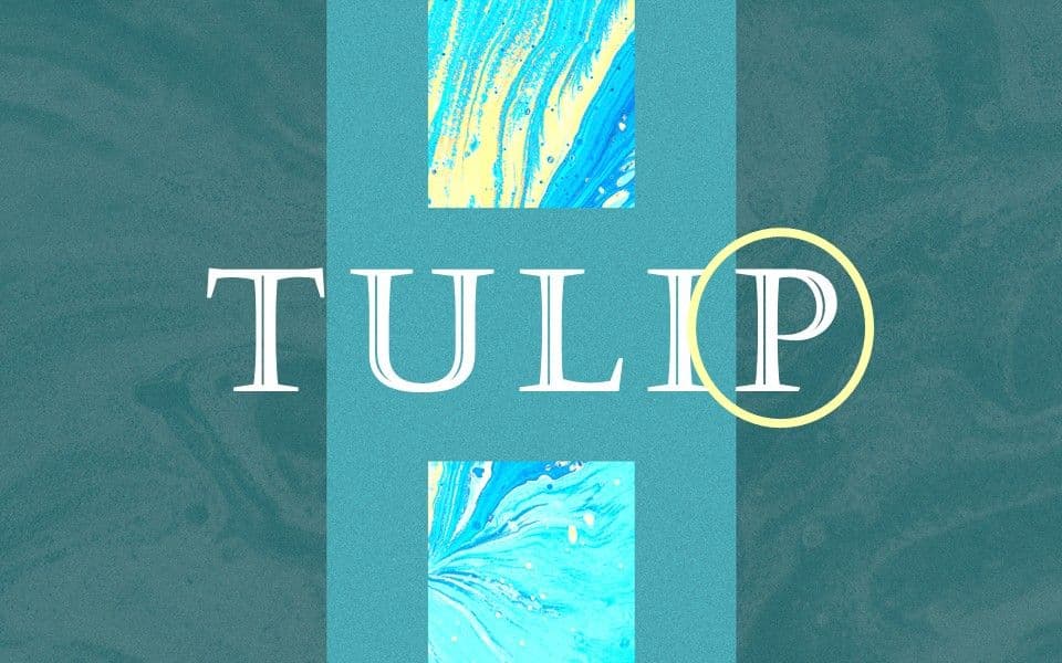 The P in TULIP