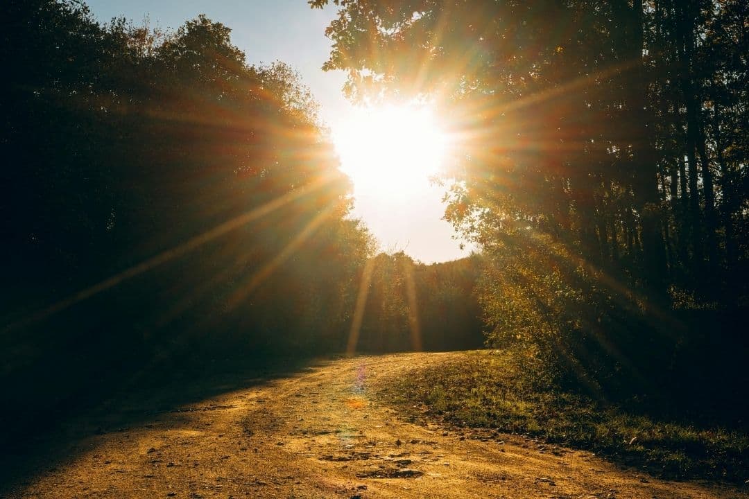 Choosing a Direction That Leads Forward