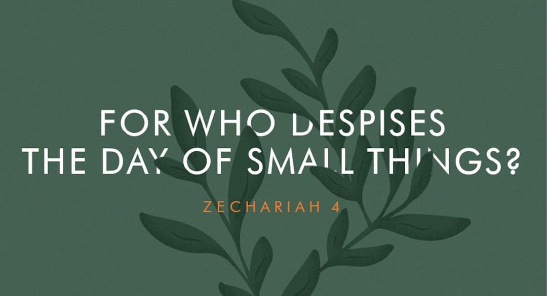 For Who Depises the Day of Small Things