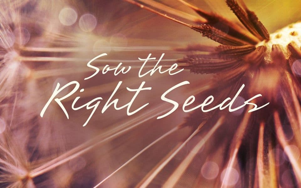 Sow the Right Seeds