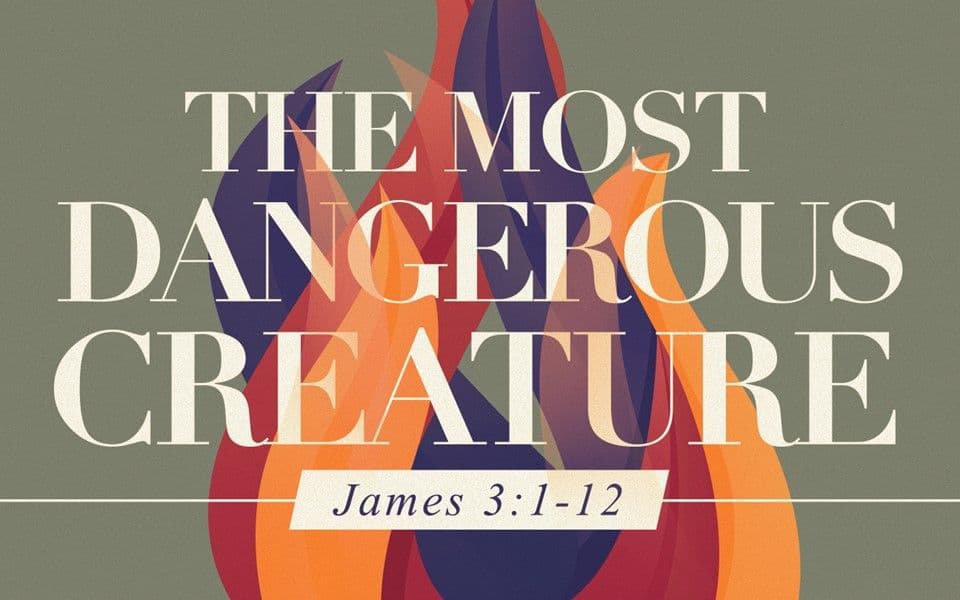 The Most Dangerous Creature
