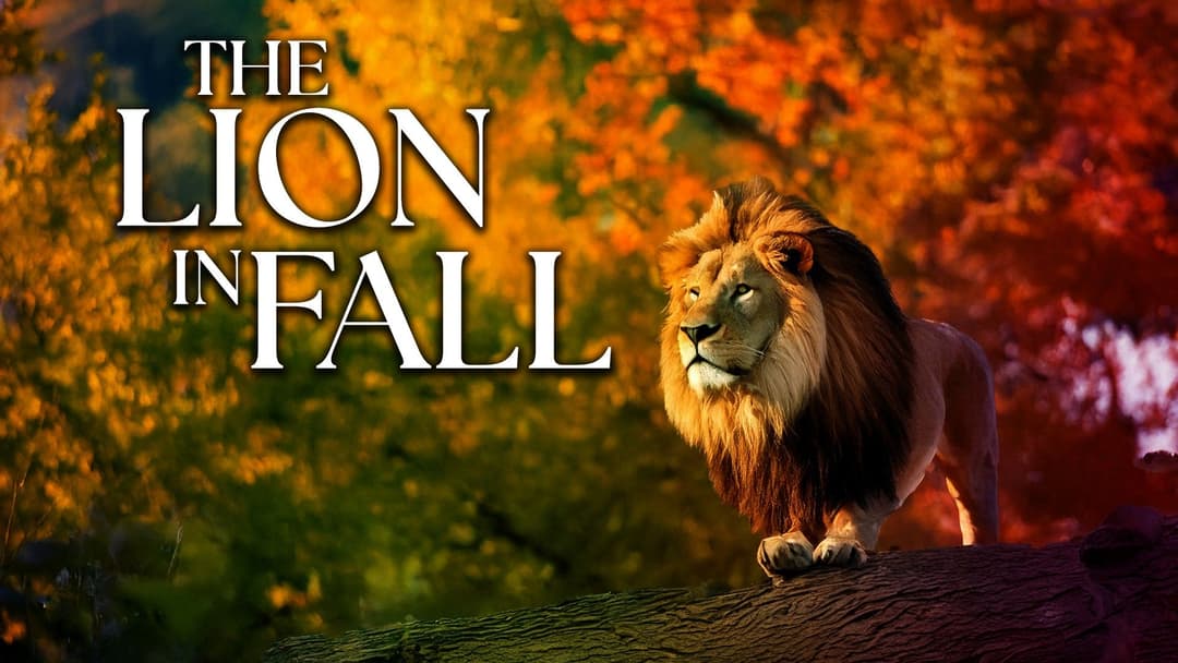 Celebrating The Seasons Of Life - The Lion In Fall