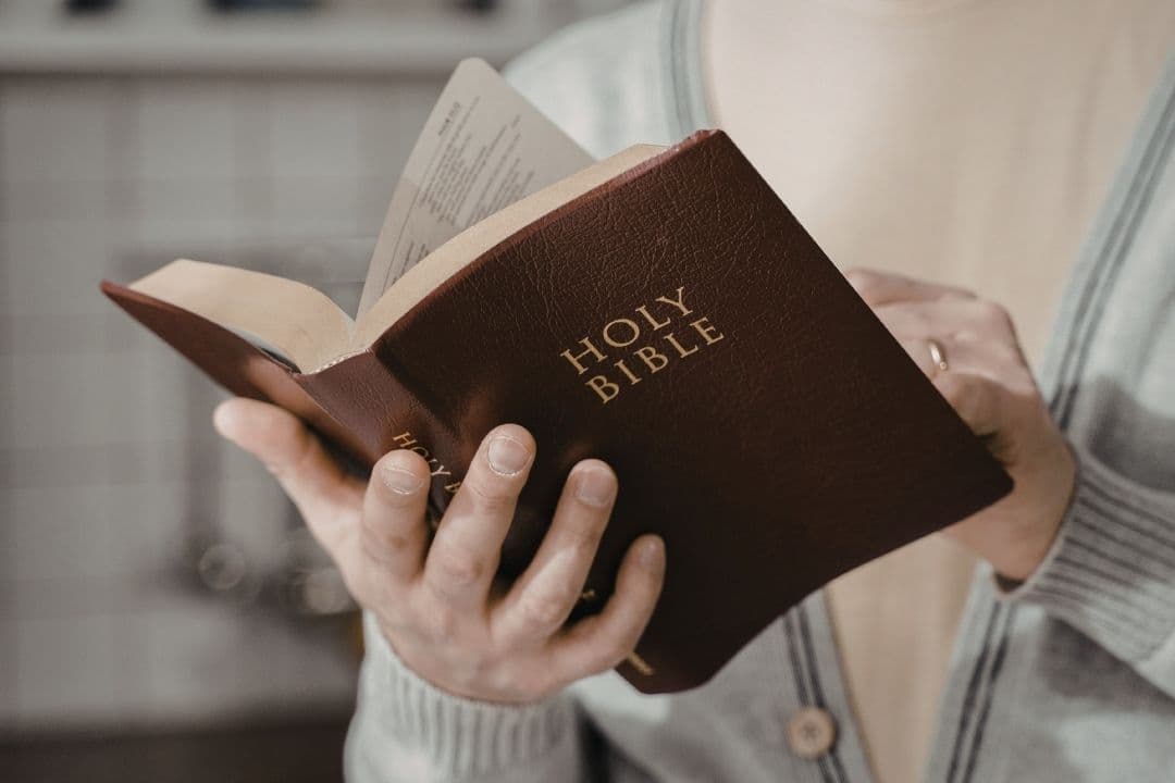 Searching for a Bible Study?