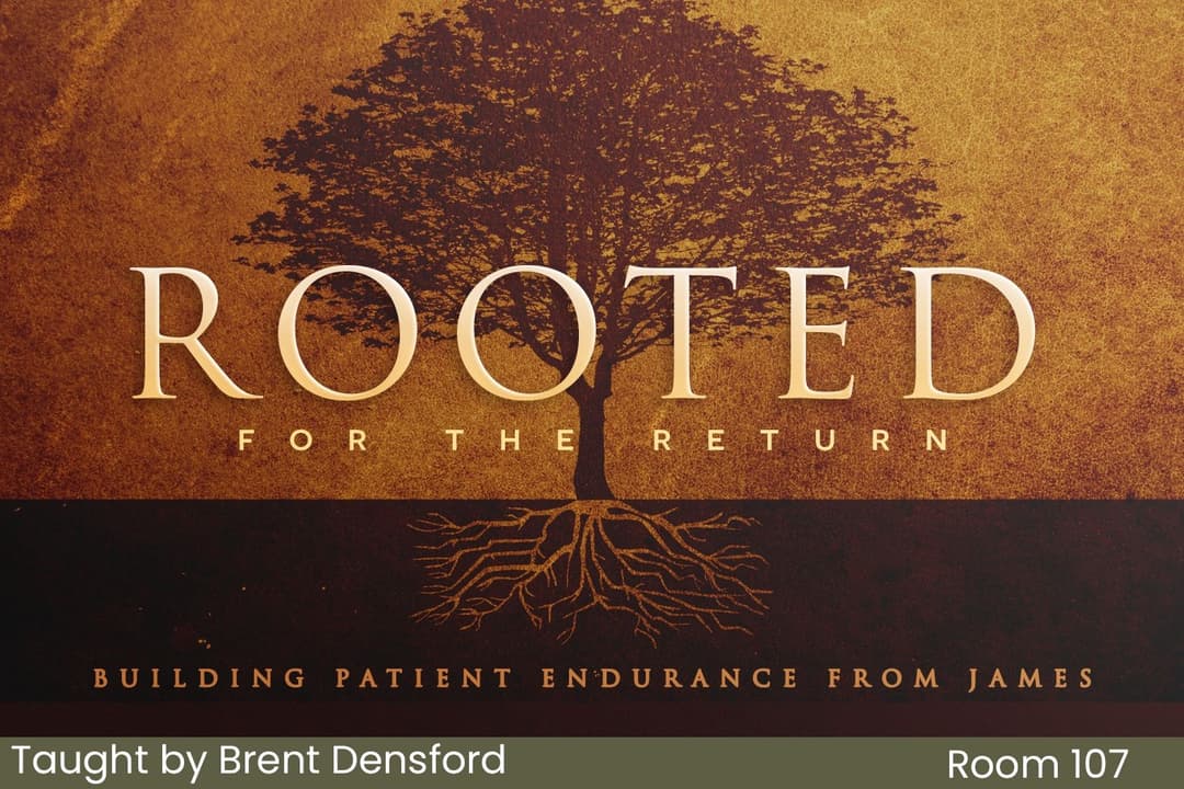 Rooted For The Return - Building Patient Endurance From James (18)