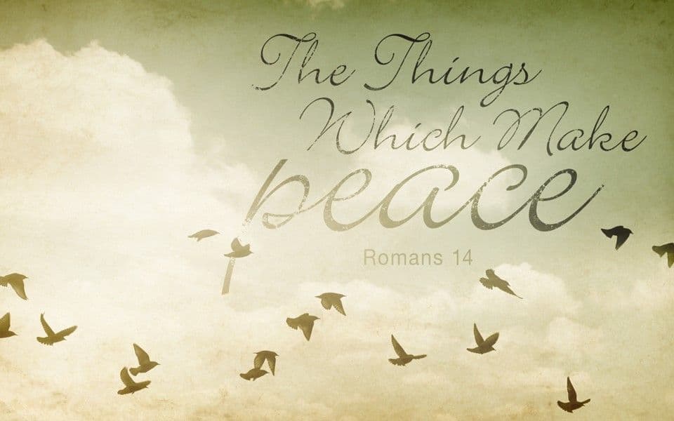 The Things Which Make Peace
