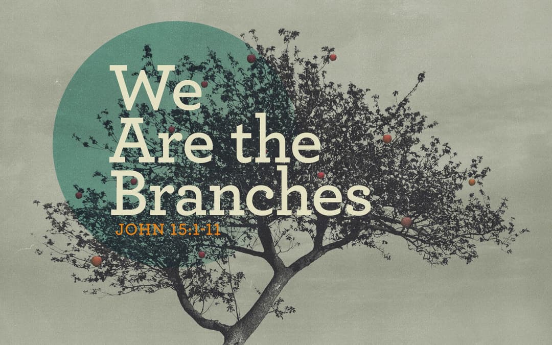 We Are The Branches
