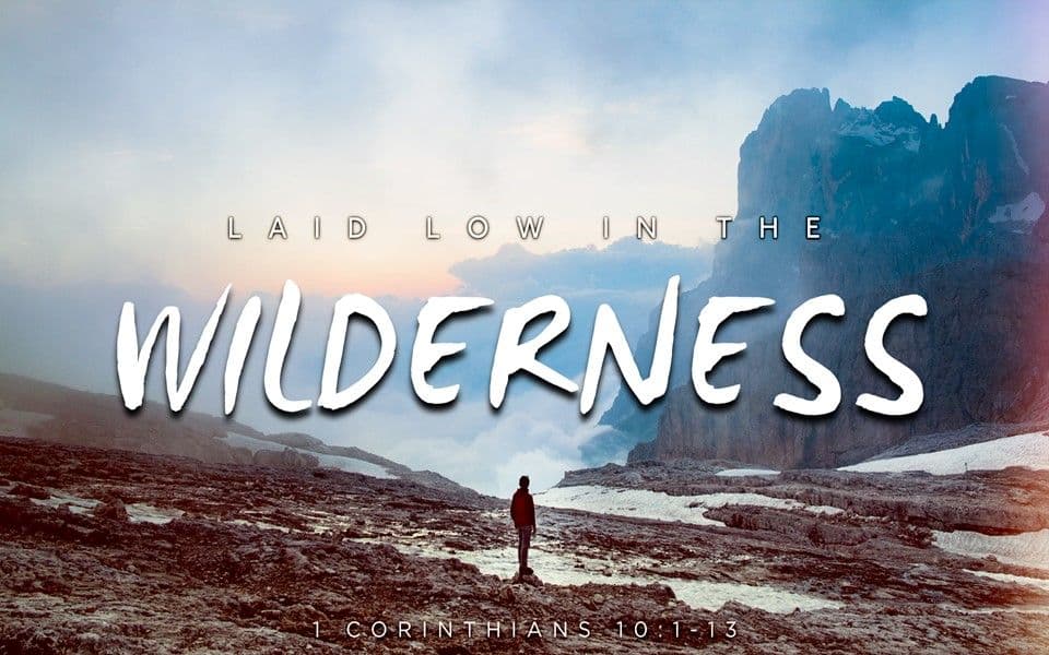 Laid Low in the Wilderness