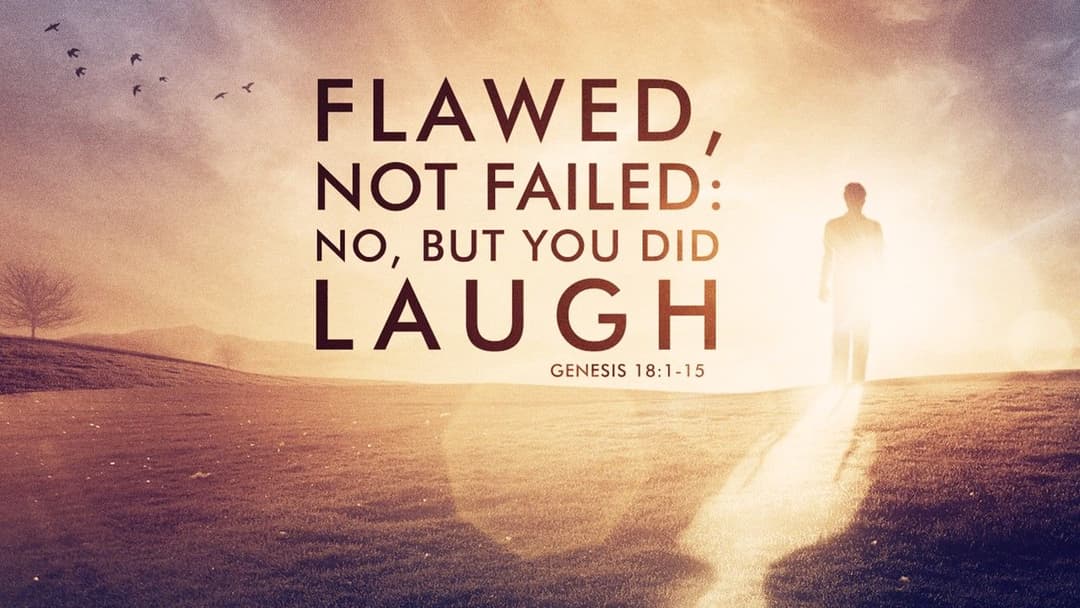 Flawed, Not Failed: No, But You Did Laugh